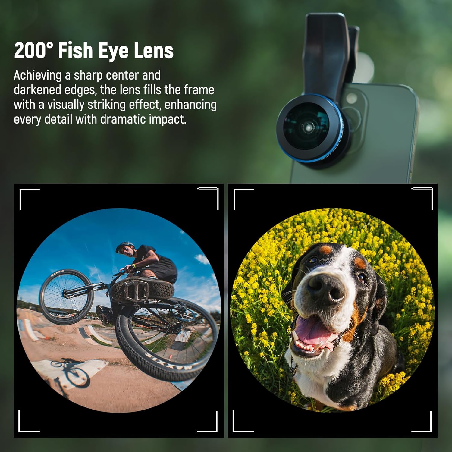 NEEWER 200° Fish Eye VR Lens with 17mm Thread Phone Lens Clip for Panoramic View, Live Streaming, Outdoor Landscape, Architecture, Compatible with iPhone 16 Pro Max S24 Ultra - Image 5